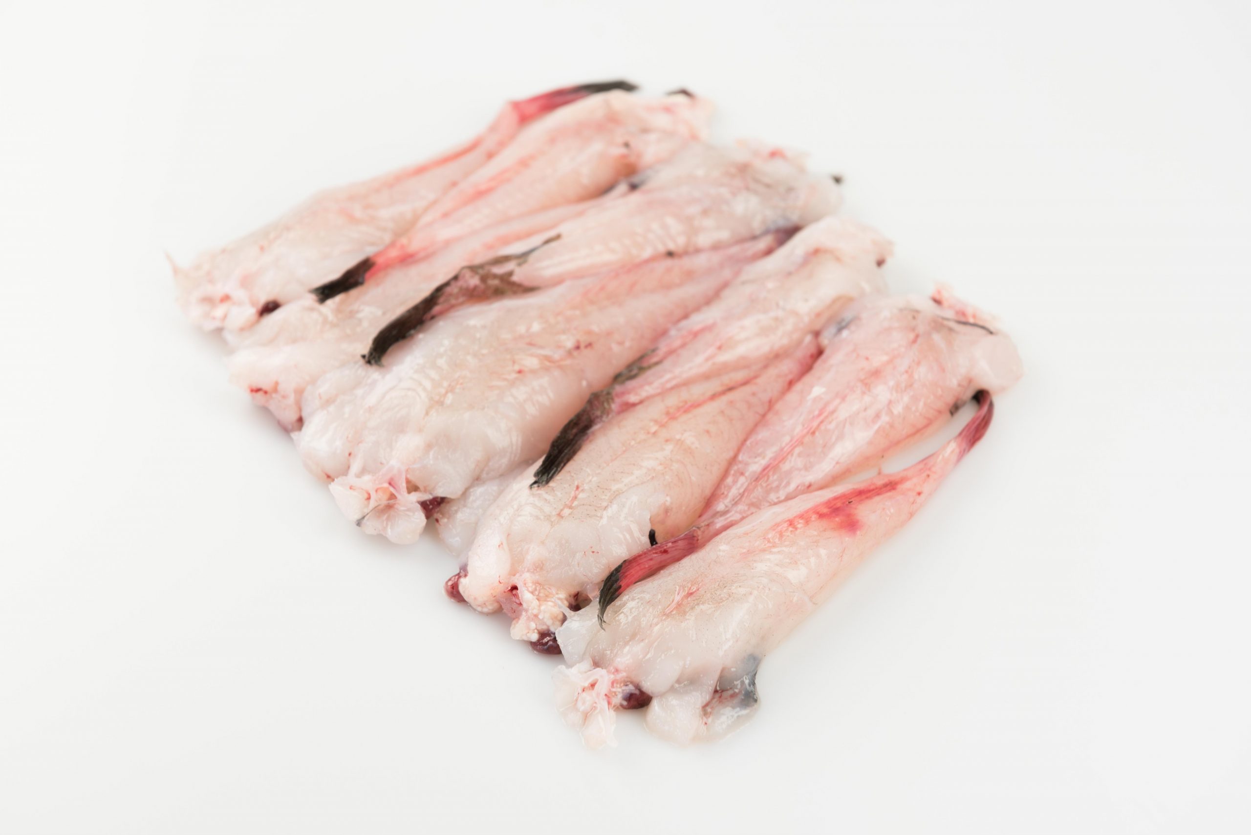 Comprar pescado fresco online: Sargo directo de Lonja